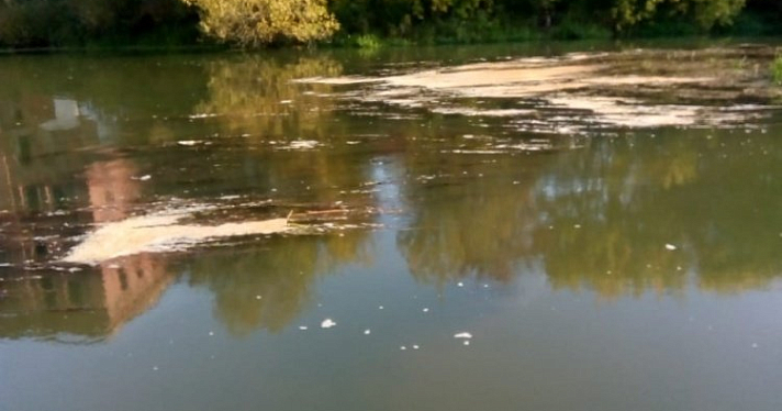 В Ростове перекрыли воду: по реке течет навоз