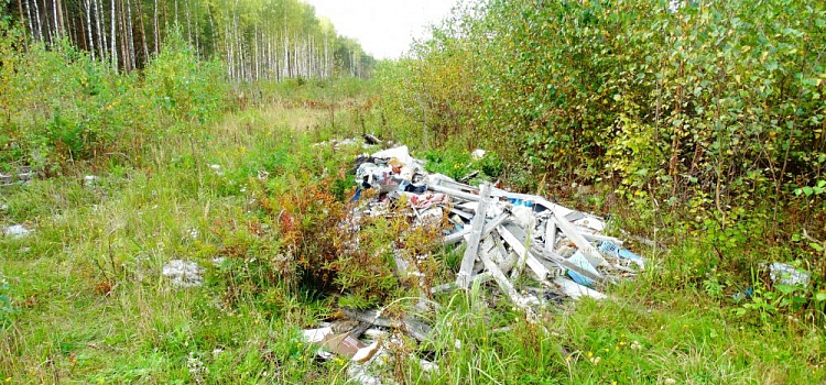 Фото дня. Стихийная свалка литературы на ярославском «Байкале»