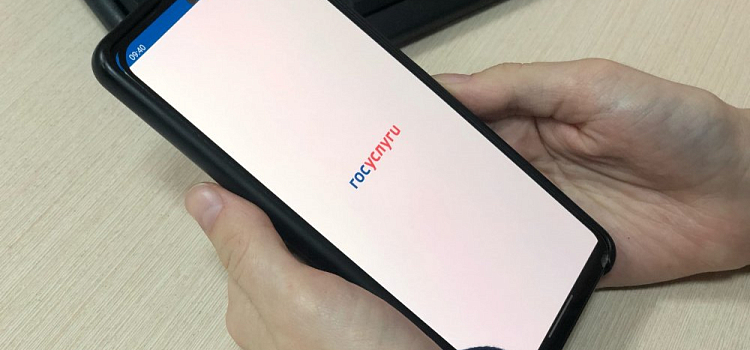 Инфекционист назвал достаточный уровень антител для получения QR-кода