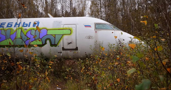 В Ярославской области будущий самолет-отель раскурочили и растащили на металлолом