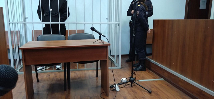 В Ярославле приговор суда услышал молодой мужчина, насмерть забивший бездомного у алкомаркета_264805