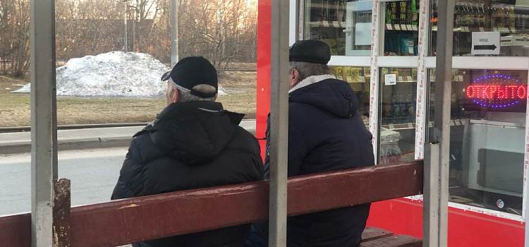 До 10 тысяч рублей: как получить пособия по уходу за детьми и пенсионерами в Ярославле