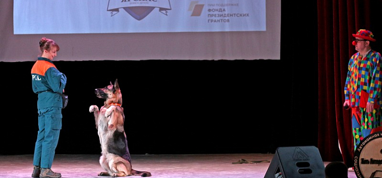 Верные друзья: в Ярославле состоится благотворительное шоу в поддержку приютов для собак_239698