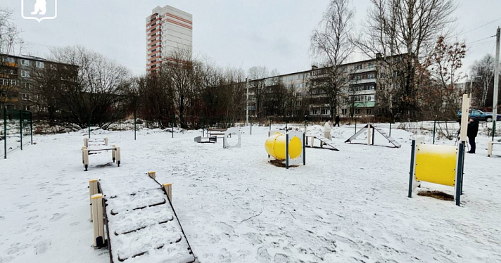 В трёх районах Ярославля открыли новые площадки для выгула и дрессировки собак