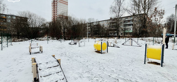 В трёх районах Ярославля открыли новые площадки для выгула и дрессировки собак