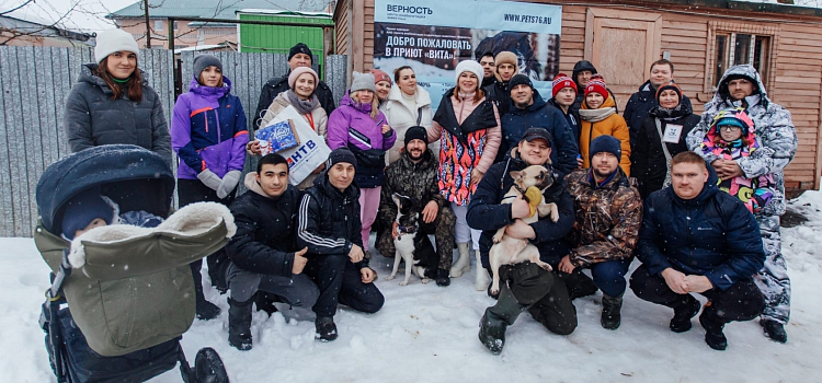 В Ярославле провели новогодний корпоратив для собак_229943