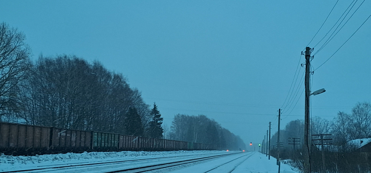 В Ярославской области у экспресса «Чайка» появится дополнительная остановка