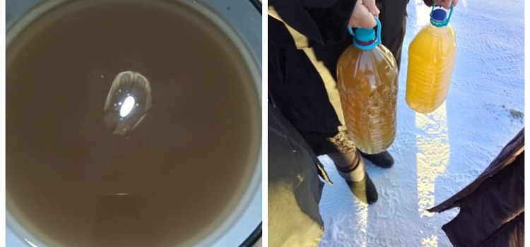 Жители деревни под Ростовом пожаловались на отключение воды