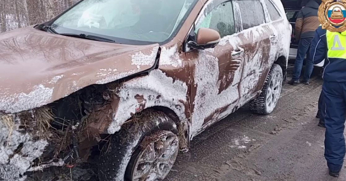Автомобиль с тремя детьми и женщиной вылетел в кювет на трассе в Ярославской области