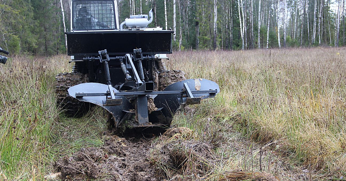 В Ярославской области подготовили почву под искусственное лесовосстановление_227395