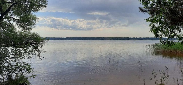 На Прусовских карьерах нашли труп. Подробности