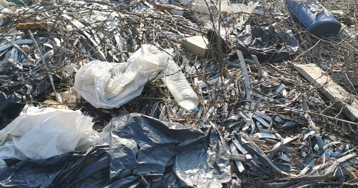 Жители Переславля пожаловались на мусорную свалку в национальном парке_237424