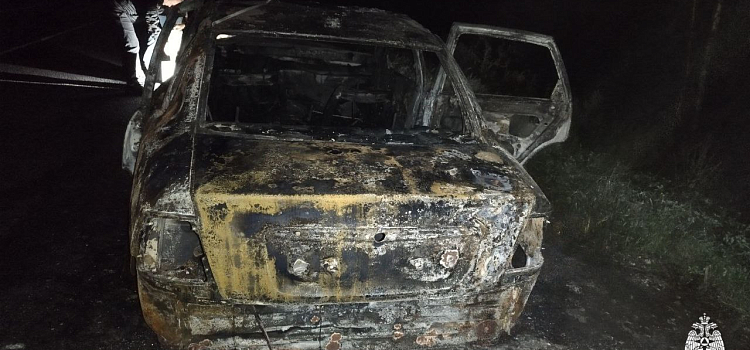 В Ярославской области при пожаре в легковом автомобиле погиб человек_303161