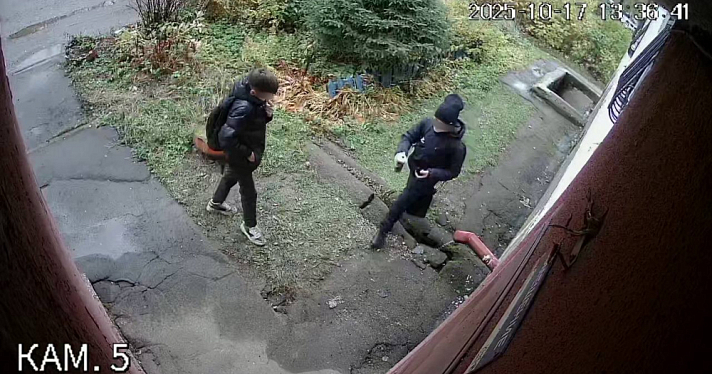 В Ярославле двух подростков-вандалов отправили устранять нанесённые им художества