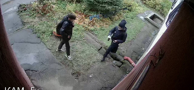 В Ярославле двух подростков-вандалов отправили устранять нанесённые им художества