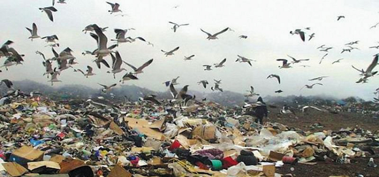 Прокуратура требует через суд ликвидировать несанкционированные свалки в Большесельском районе 