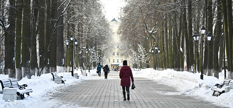 В центре Ярославля переименуют бульвар