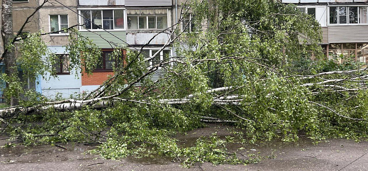 В Ярославле фонарный столб рухнул на ребёнка_299549