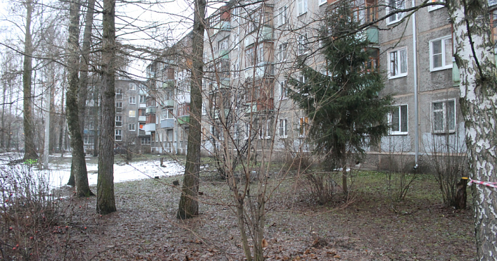 После Рождества в Ярославль хлынет апрельское тепло