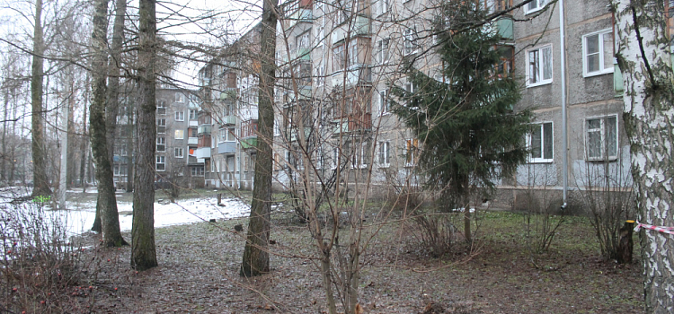 После Рождества в Ярославль хлынет апрельское тепло