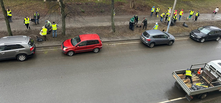 В Дзержинском районе Ярославля организовали ежедневные субботники