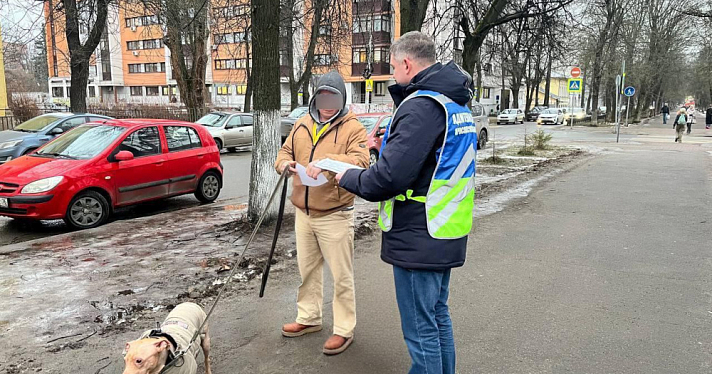 Плевки и неправильный выгул собак: стало известно, где в Ярославле больше оштрафованных