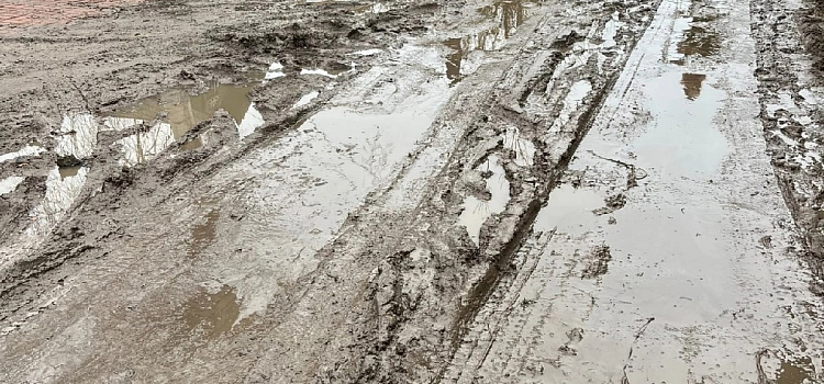 Жители Ярославля просят отремонтировать дорогу к детскому саду во Фрунзенском районе_225823