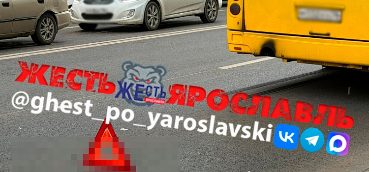 Личность устанавливается: в Ярославле автобус сбил девушку