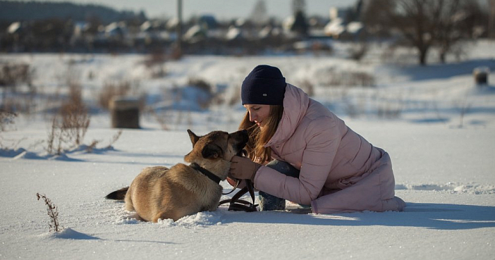 Их выгоняют, мучают, режут: ярославские волонтеры рассказали о спасении бездомных животных