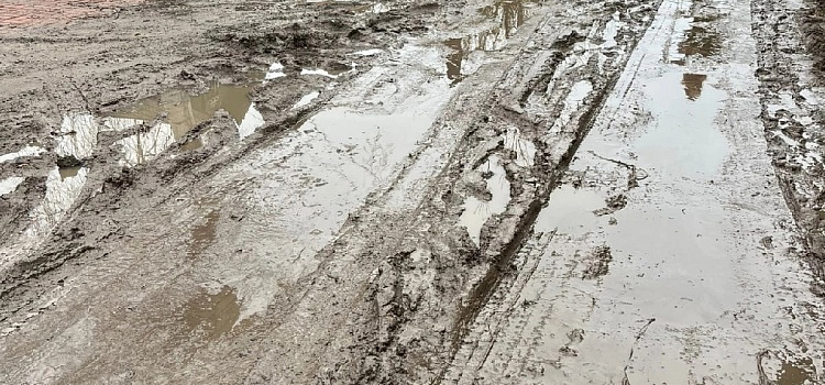 Жители Ярославля просят отремонтировать дорогу к детскому саду во Фрунзенском районе