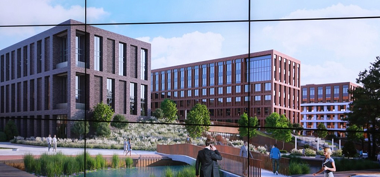 Губернатор и ректор СПбГУ обсудили планы по подготовке кадров для Ярославской области_241997