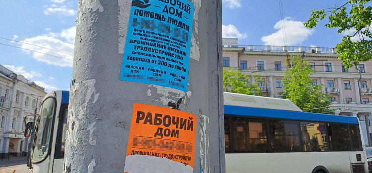 «Такого больше не повторится!»: нарушители правил благоустройства пообещали убрать незаконно развешанные объявления