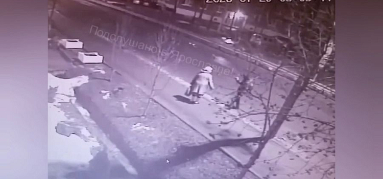 В Ярославской области мужчина насмерть забил старушку на улице