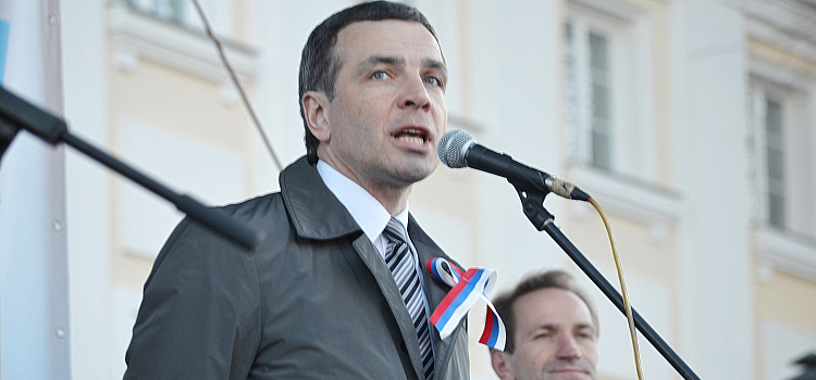 «Крымский» митинг объединил политические силы Ярославля_26006