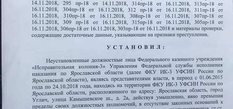 Ирина Бирюкова выложила постановление о возбуждении уголовного дела по следам пыток в угличской ИК-3: фамилии потерпевших_153980