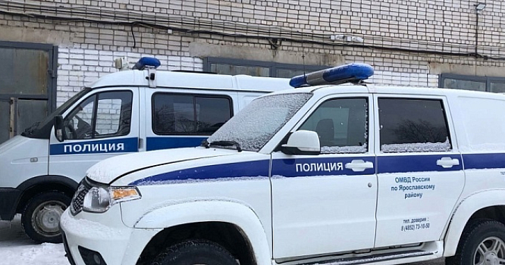 В Ярославле полицейские задержали группу первокурсников
