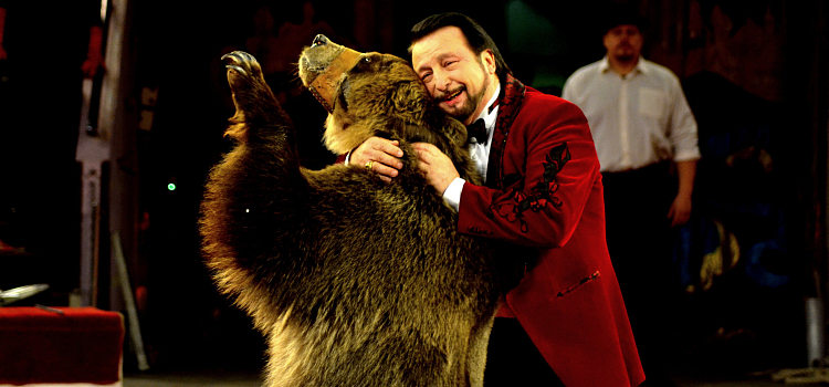 Ярославский цирк представляет новую программу!_57129