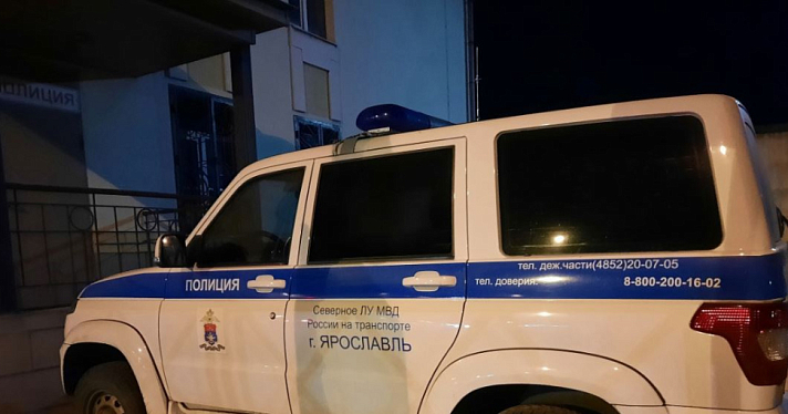 В Ярославской области полицейские нашли автомошенницу