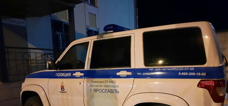В Ярославской области полицейские нашли автомошенницу