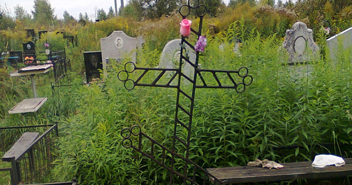 В Ярославле оцифровали Игнатовское кладбище