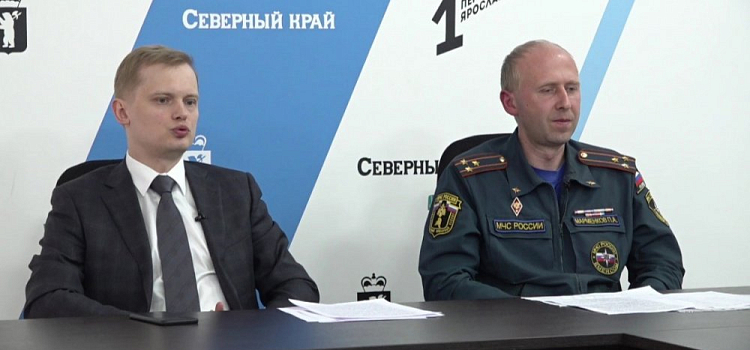 Штраф до трех тысяч: как ярославцев будут наказывать за розжиг костров