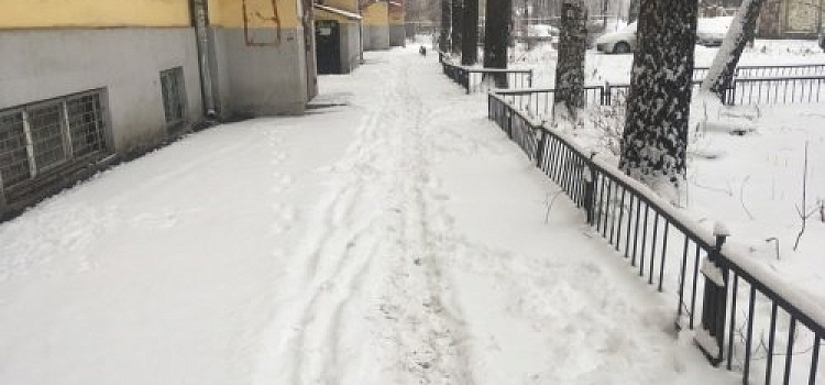 За три дня больше 200 человек обратились в Соловьевскую больницу после падения на льду