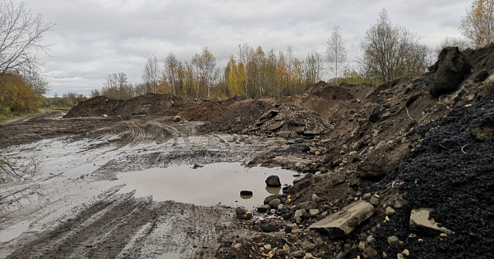 «Пруды с золотыми карпами были»: в Ярославле разгорелся спор из-за вывезенного с Тутаевского шоссе грунта