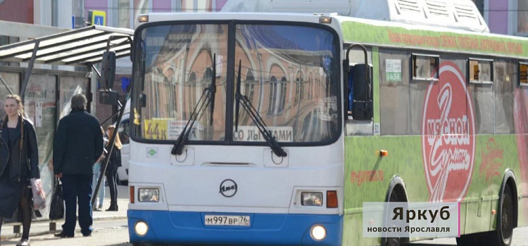 В Ярославской области с начала года произошло 33 ДТП с участием автобусов
