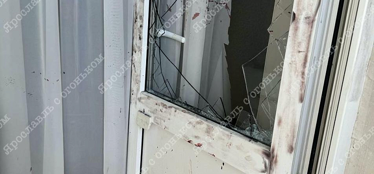 В Ярославле неадекватный мужчина с утюгом ворвался в чужую квартиру, выбив дверь балкона_297203