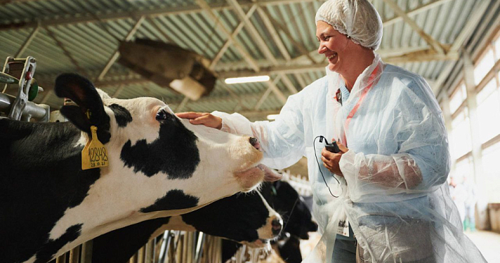 Михаил Евраев представил достижения АПК Ярославской области в московском СберСити