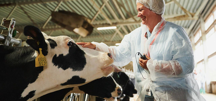 Михаил Евраев представил достижения АПК Ярославской области в московском СберСити