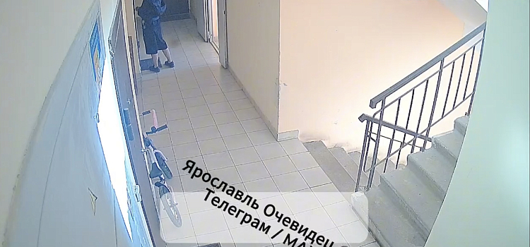 В Ярославской области «компашка домушников» организовала ночные вторжения и дневные преследования_318401