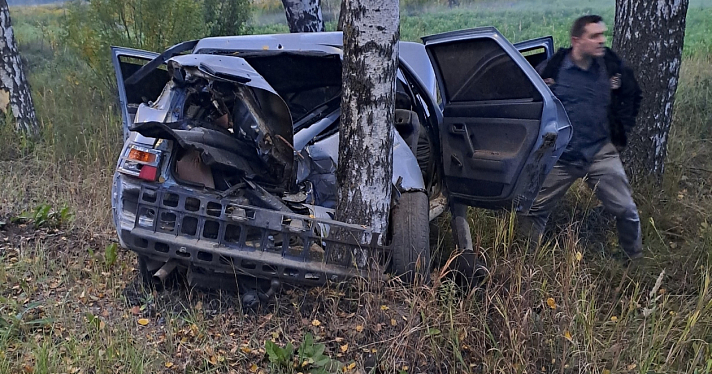В Ярославском районе водитель врезался в дерево и оставил автомобиль_251460
