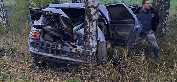В Ярославском районе водитель врезался в дерево и оставил автомобиль_251460